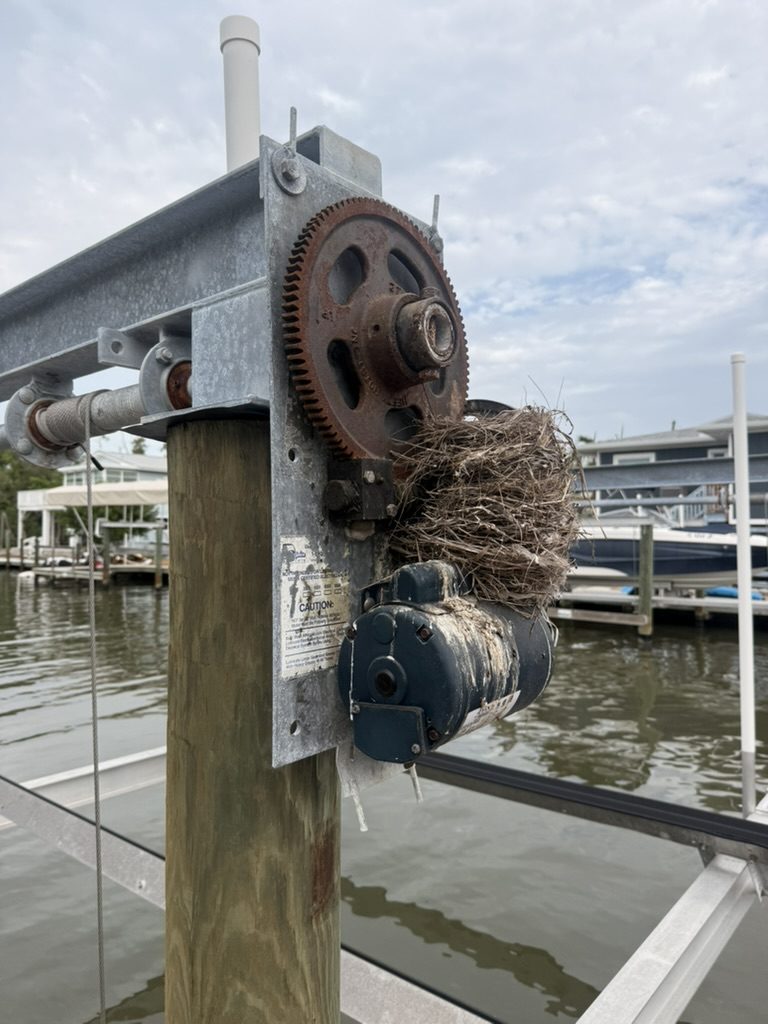 Flooded boat lift motor with its cover off, a bird’s nest on top of the motor and the rusted gear above it