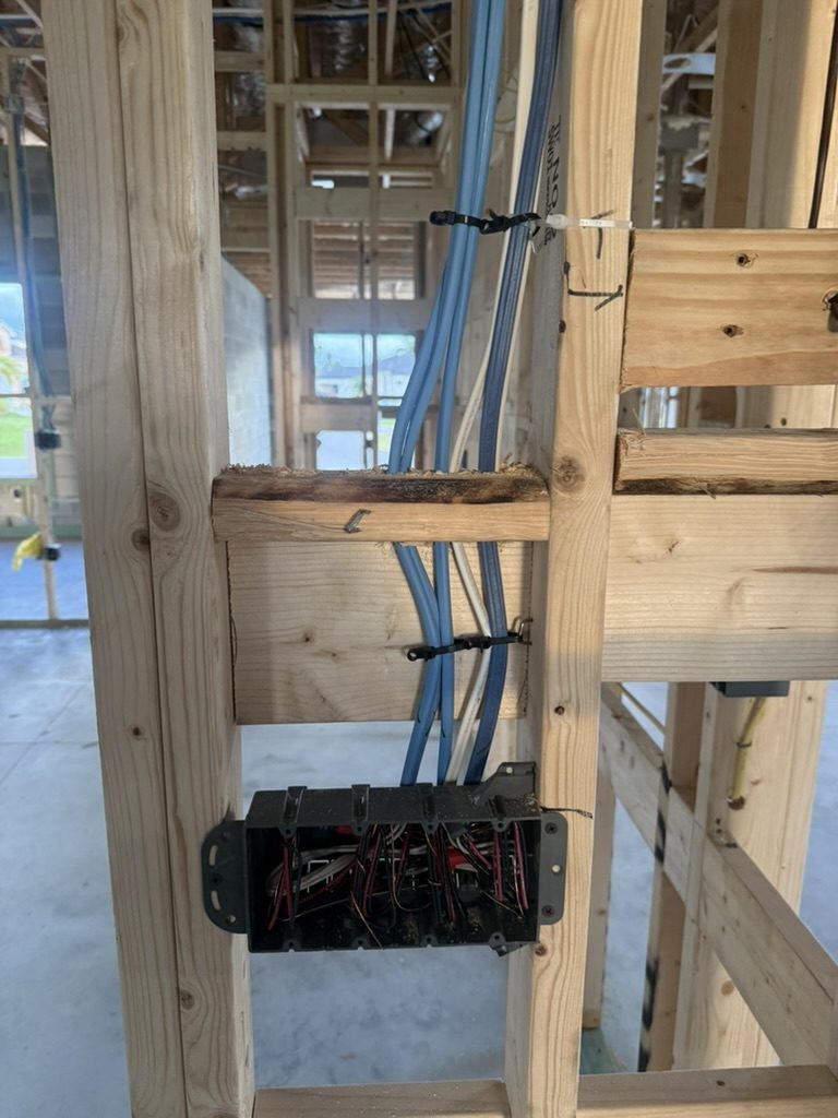 Tie-wrapped cable bundle feeding a multi-gang box in a new Cape Coral home